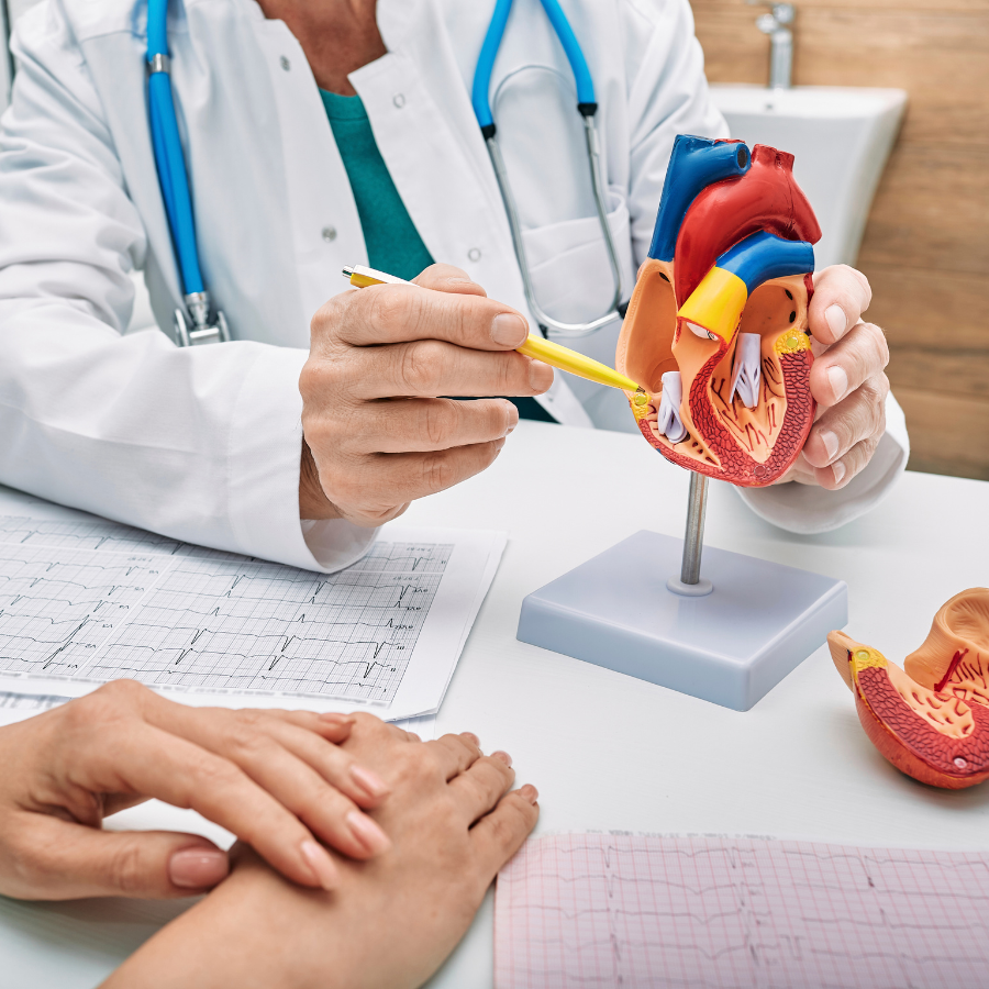 Cardiologo che esegue ecocardiografia al Poliambulatorio BluMedica a Sandrigo